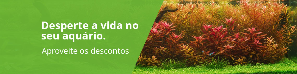 Banner 1